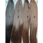 3. Sötét gesztenyebarna 3 - generációra előkészített 